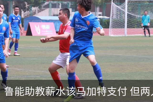 鲁能助教薪水该马加特支付 但两人闹掰后没拿着钱